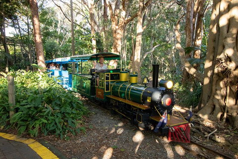Currumbin Wildlife Sanctuary General Entry Ticket - Australia Accommodation 13