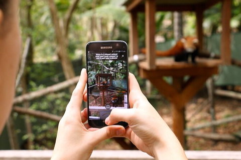 Currumbin Wildlife Sanctuary General Entry Ticket - Australia Accommodation 4