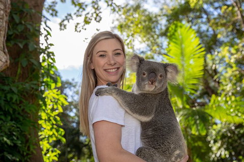 Currumbin Wildlife Sanctuary General Entry Ticket - Australia Accommodation 0