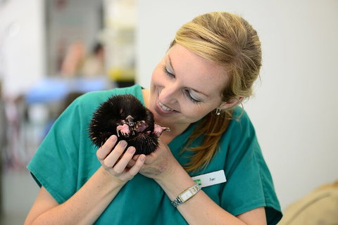 Currumbin Wildlife Sanctuary General Entry Ticket - Australia Accommodation 8