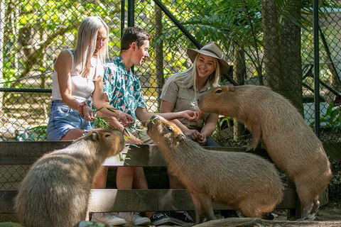 Currumbin Wildlife Sanctuary General Entry Ticket - Australia Accommodation 16