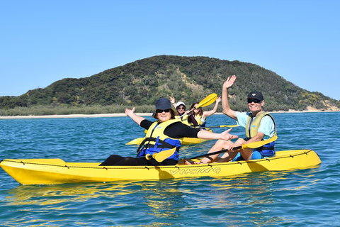 Kayak With Dolphins And 4WD Great Beach Drive Day Trip From Noosa - Australia Accommodation 6