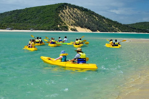 Kayak With Dolphins And 4WD Great Beach Drive Day Trip From Noosa - Australia Accommodation 8