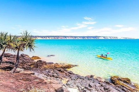 Kayak With Dolphins And 4WD Great Beach Drive Day Trip From Noosa - Australia Accommodation 3