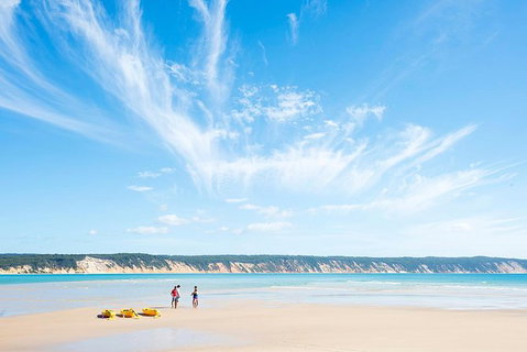Kayak With Dolphins And 4WD Great Beach Drive Day Trip From Noosa - Australia Accommodation 16