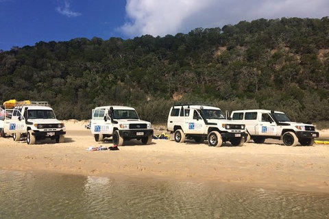 Kayak With Dolphins And 4WD Great Beach Drive Day Trip From Noosa - Australia Accommodation 9