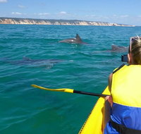 Kayak with Dolphins and 4WD Great Beach Drive Day Trip from Noosa - Australia Accommodation