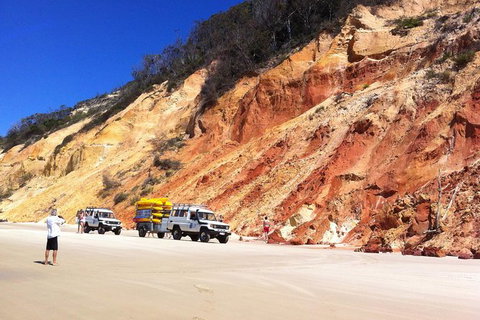 Kayak With Dolphins And 4WD Great Beach Drive Day Trip From Noosa - Australia Accommodation 12