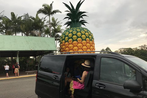 Private Transfer From Sunshine Coast Airport To Noosa 8 Seater + Luggage Trailer - Australia Accommodation 2