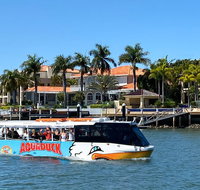 Aquaduck Sunshine Coast - Australia Accommodation