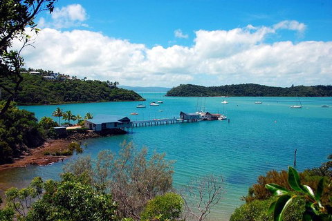 Shared Departure Transfer: Airlie Beach To Proserpine Airport - Australia Accommodation 1