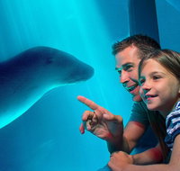 SEA LIFE Sunshine Coast Aquarium Entrance Ticket - Australia Accommodation
