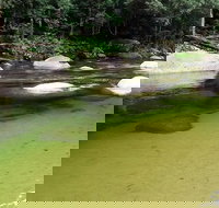 Afternoon Half-Day Daintree Rainforest and River Tour - Australia Accommodation