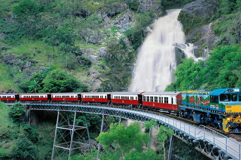 Kuranda Day Trip From Cairns By Scenic Railway And Skyrail Including Army Duck Rainforest Tour - Australia Accommodation 5