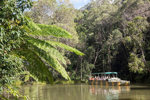 Kuranda Day Trip From Cairns By Scenic Railway And Skyrail Including Army Duck Rainforest Tour - Australia Accommodation 0