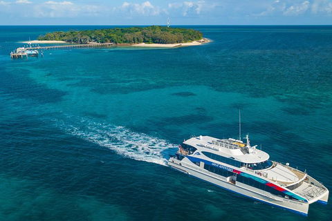 Ultimate 3-Day Great Barrier Reef Cruise Pass - Australia Accommodation 5