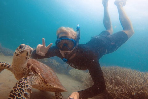 Great Keppel Island Day Trip Bundle From Yeppoon - Australia Accommodation 5