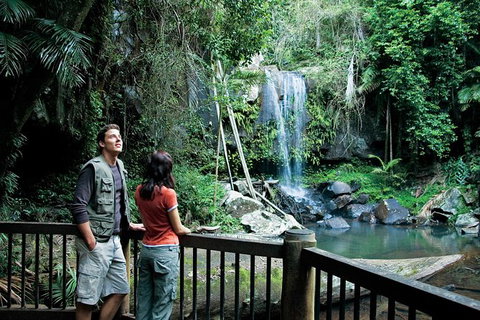 Full Day Small Group Luxury Tour To Tamborine Mountain - Australia Accommodation 4