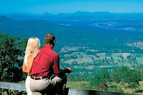 Full Day Small Group Luxury Tour To Tamborine Mountain - Australia Accommodation 1