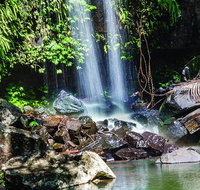 Full Day Small Group Luxury Tour to Tamborine Mountain - Australia Accommodation