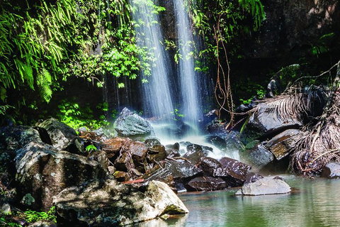 Full Day Small Group Luxury Tour To Tamborine Mountain - Australia Accommodation 0