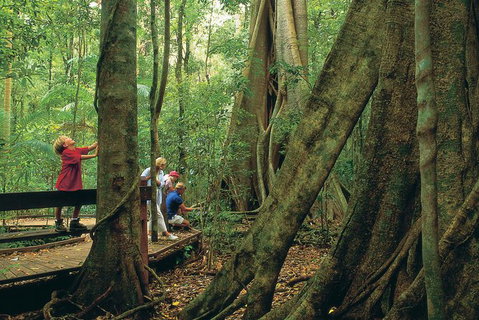 Full Day Small Group Luxury Tour To Tamborine Mountain - Australia Accommodation 5