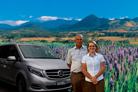 Full Day Small Group Luxury Tour To Tamborine Mountain - Australia Accommodation 2