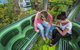 8-Day Cairns Tour: Great Barrier Reef, Kuranda, Daintree Rainforest - thumb 1