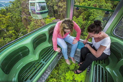 8-Day Cairns Tour: Great Barrier Reef, Kuranda, Daintree Rainforest - Australia Accommodation 1