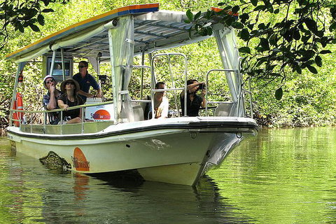 8-Day Cairns Tour: Great Barrier Reef, Kuranda, Daintree Rainforest - Australia Accommodation 3