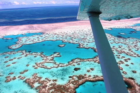 8-Day Cairns Tour: Great Barrier Reef, Kuranda, Daintree Rainforest - Australia Accommodation 0