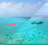 Port Douglas Scenic Flights - Australia Accommodation