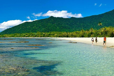 Private Daintree National Park Day Tour From Cairns Including Cape Tribulation And Mossman Gorge - Australia Accommodation 5