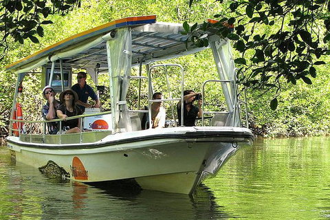 Private Daintree National Park Day Tour From Cairns Including Cape Tribulation And Mossman Gorge - Australia Accommodation 3