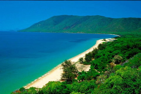 Private Daintree National Park Day Tour From Cairns Including Cape Tribulation And Mossman Gorge - Australia Accommodation 4