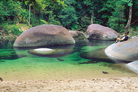 Private Daintree National Park Day Tour From Cairns Including Cape Tribulation And Mossman Gorge - Australia Accommodation 1