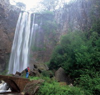 Brisbane Day in the Country Full-Day Small-Group Tour with Lunch - Australia Accommodation