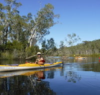 Self-Guided Noosa Everglades Kayak Tour - Australia Accommodation