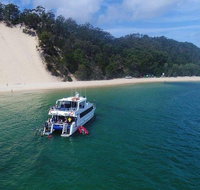 Eco Marine Safari - Boom netting  Snorkeling Moreton Island - Roma St Transfers - Australia Accommodation
