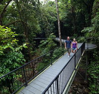 4-Day Cairns with Great Barrier Reef and Daintree Rainforest - Australia Accommodation