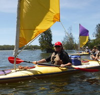 Full-Day Guided Noosa Everglades Kayak Tour - Australia Accommodation