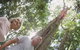 Sunshine Coast Private Scenic Guided Tour Inc. 2-Course Gourmet Lunch - thumb 5