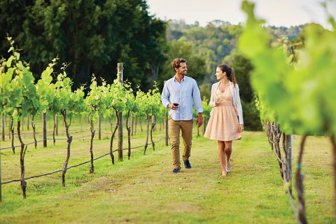 Sunshine Coast Private Scenic Guided Tour Inc. 2-Course Gourmet Lunch - Australia Accommodation 10