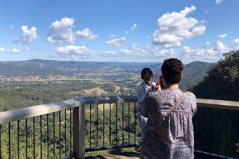 Sunshine Coast Private Scenic Guided Tour Inc. 2-Course Gourmet Lunch - Australia Accommodation 8