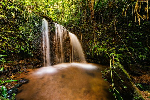 Paronella Park Admission Ticket - Australia Accommodation 4