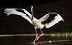 Daintree River - Private Photography Cruise - thumb 0