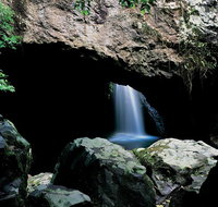Springbrook National Park  Gold Coast Full Day Luxury Tour from Brisbane - Australia Accommodation