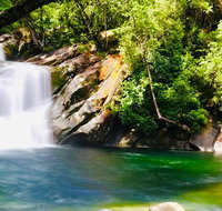 Wooroonooran National Park Rainforest and Wildlife Day Trip from Cairns - Australia Accommodation