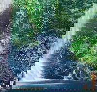 Morning Half Day Tour - Australia Accommodation