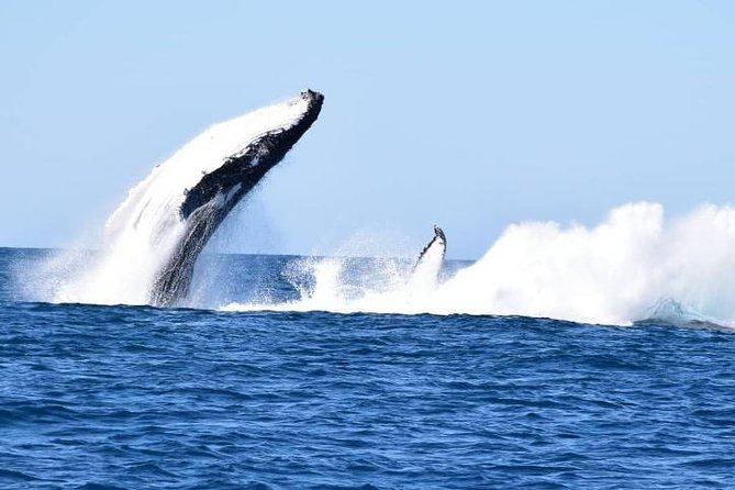 Noosa QLD Australia Accommodation